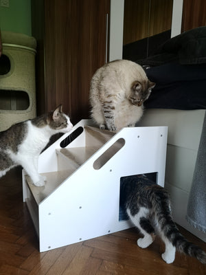 Cat Stairs Box House Bed - Boxy 3-Step - Scratchy Things Premium Pet Furniture