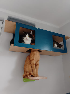 Cat Wall Shelf Bed - Wally Tunnel - Scratchy Things Premium Pet Furniture