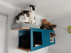 Cat Wall Shelf Bed - Wally Tunnel - Scratchy Things Premium Pet Furniture