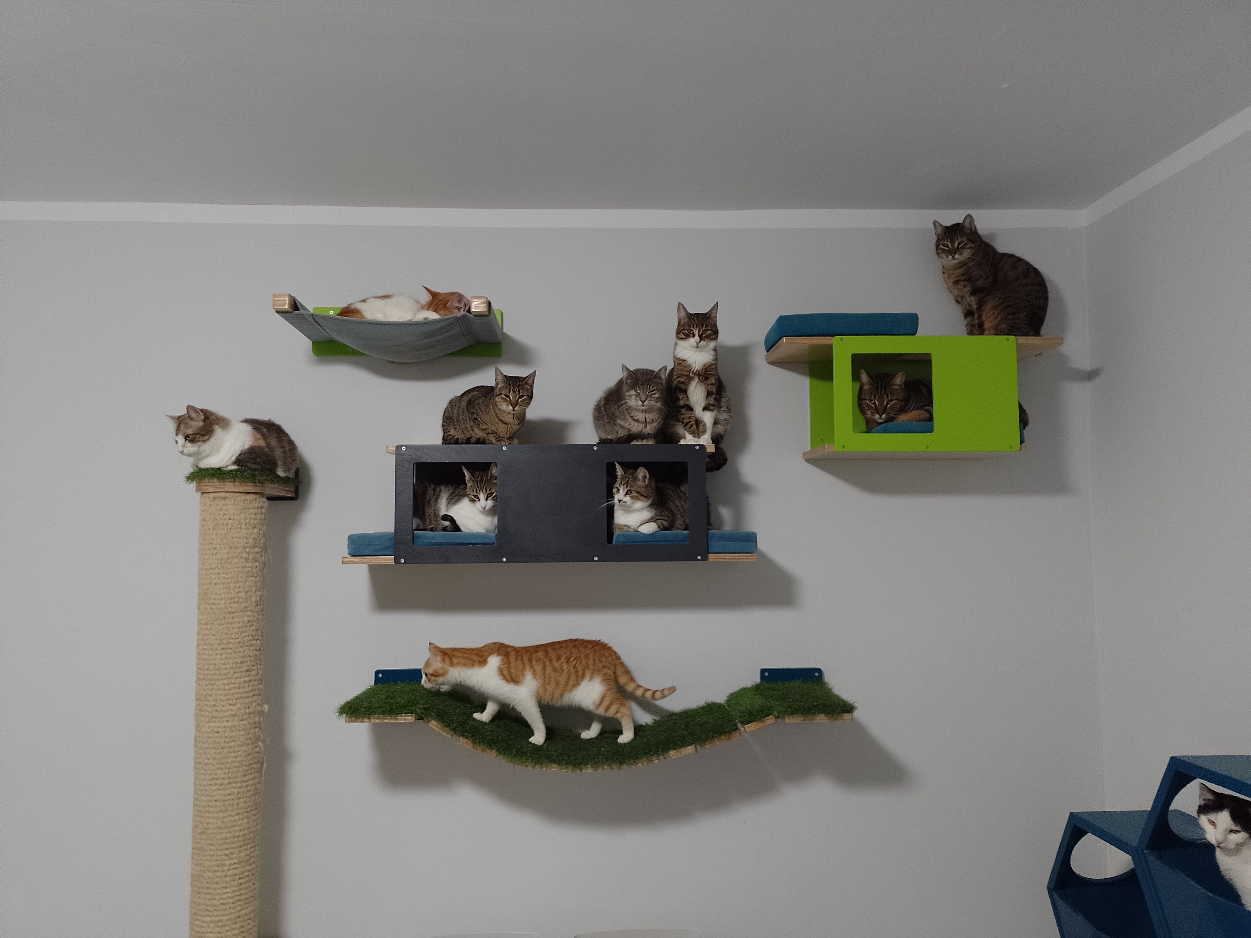 Wally Tunnel Upside-Down