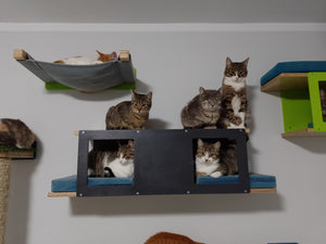 Cat Wall Shelf Bed Hammock - Wally Cot - Scratchy Things Premium Pet Furniture