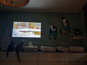 Cat Wall Scratching Pole Step Shelf - Wally Round Step Chonk - Scratchy Things Premium Pet Furniture