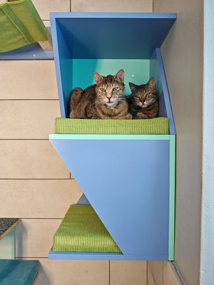 Cat Wall Shelf Bed Corner Box - Wally Sharp Tower - Scratchy Things Premium Pet Furniture