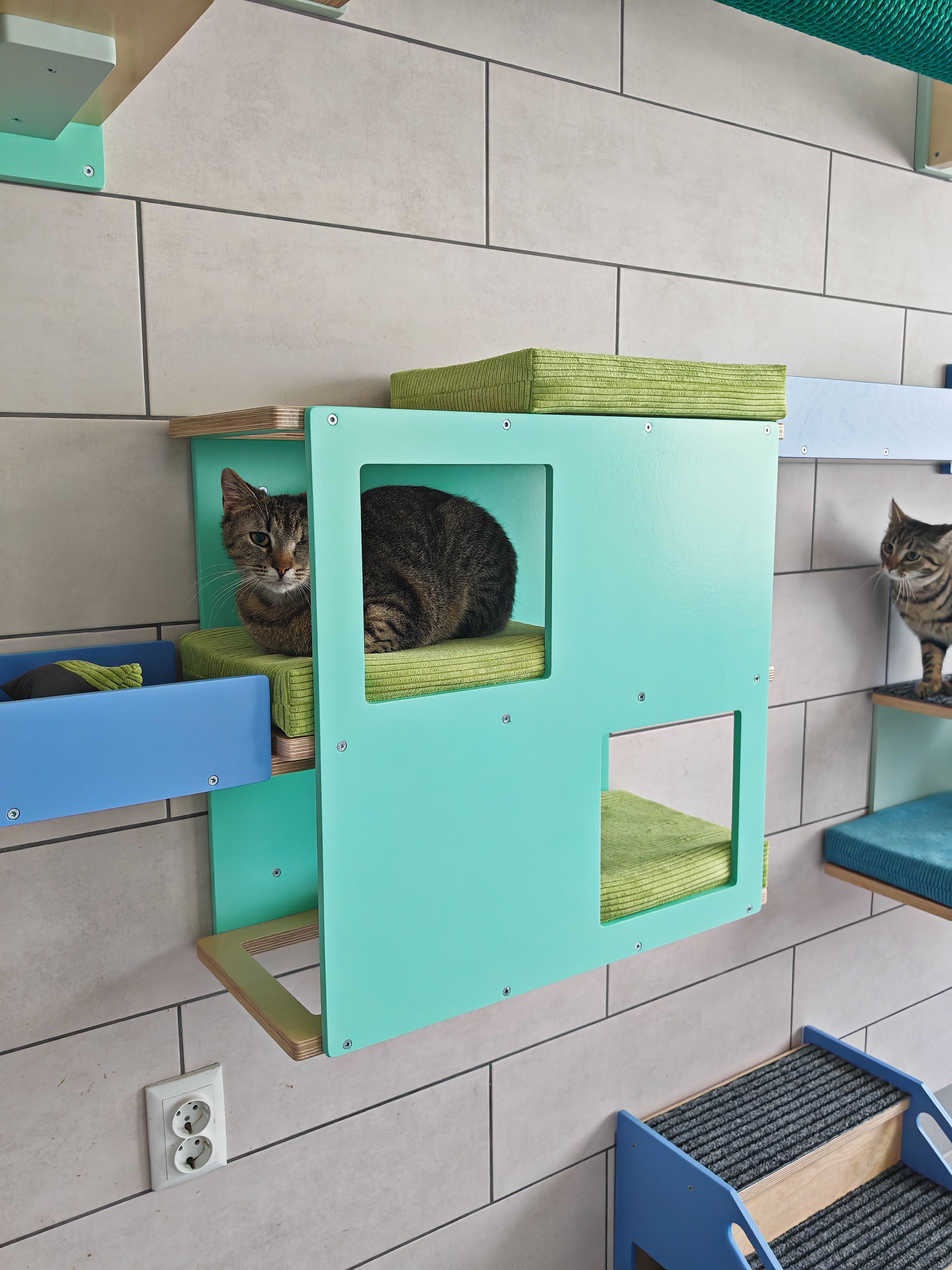 Cat Wall Shelf Bed - Wally Loft - Scratchy Things Premium Pet Furniture