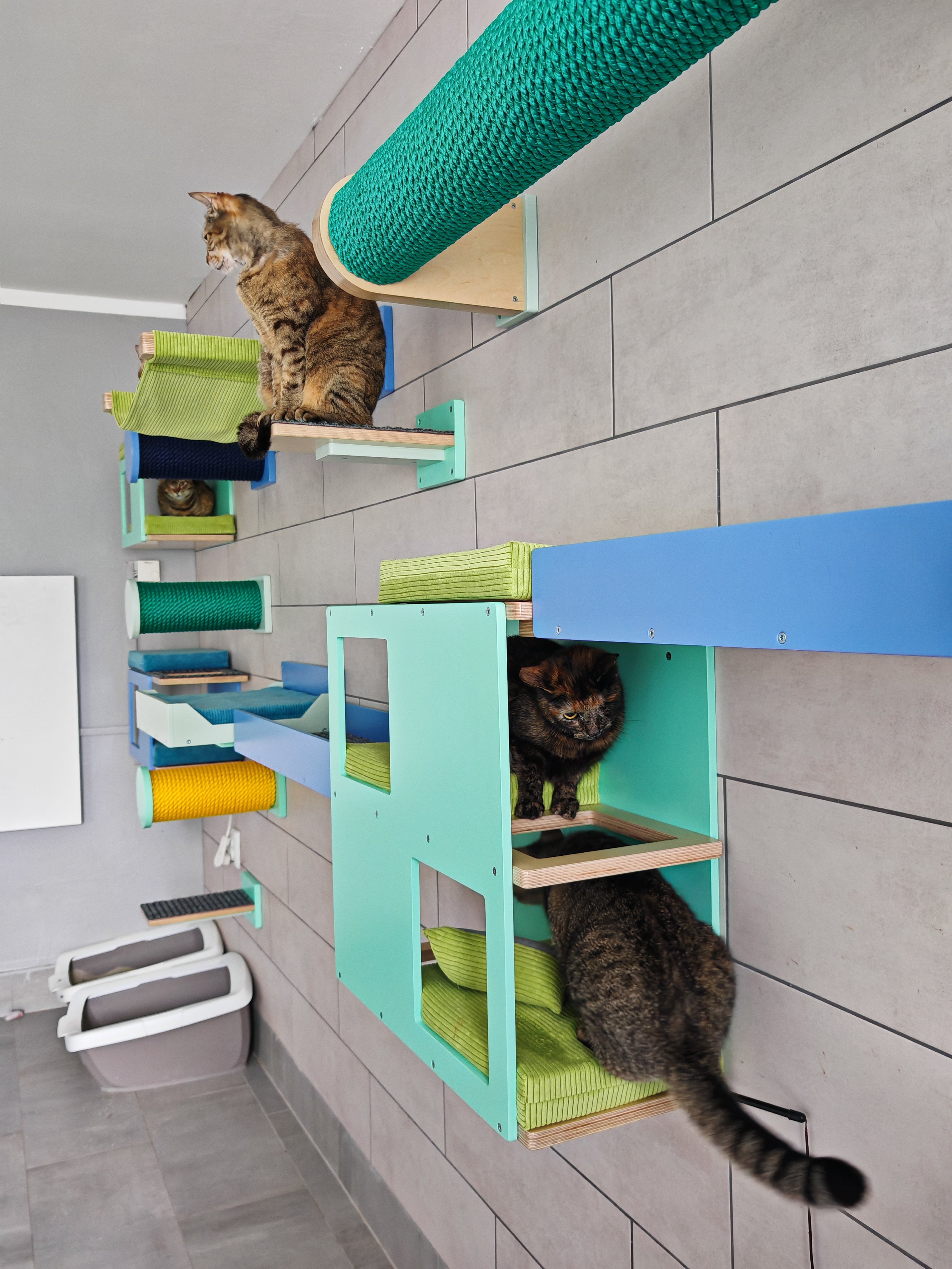 Cat Wall Shelf Bed - Wally Loft - Scratchy Things Premium Pet Furniture