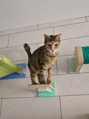 Car Wall Step Shelf - Wally 1-Step - Scratchy Things Premium Pet Furniture