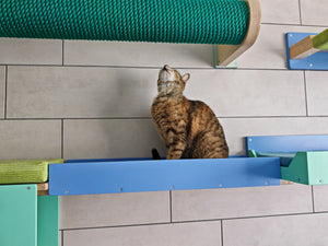 Cat Wall Bridge Ramp Shelf Step - Wally Path - Scratchy Things Premium Pet Furniture