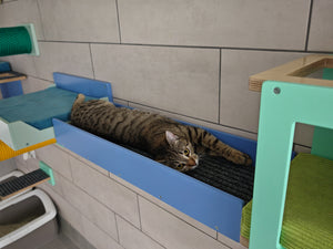 Cat lying on a blue platform in a pet-friendly room with green and blue furniture.
