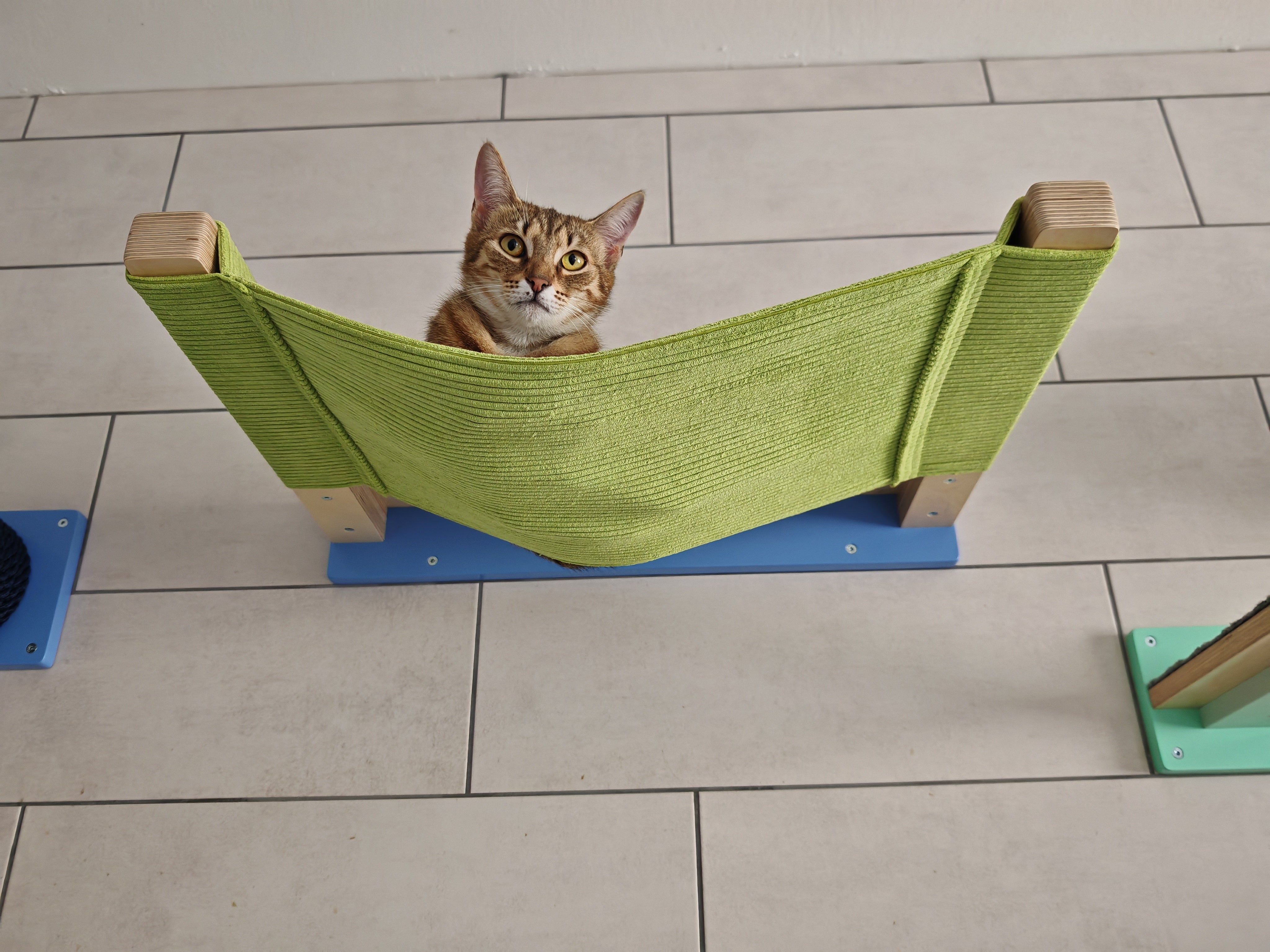 Cat Wall Shelf Bed Hammock - Wally ComboCot - Scratchy Things Premium Pet Furniture