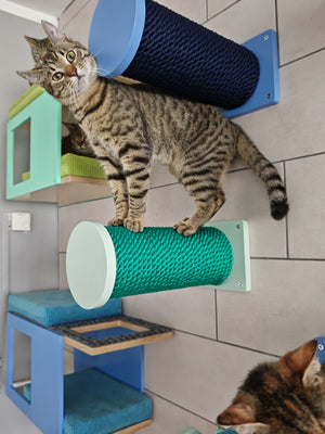 Cat Wall Scratching Pole Step Shelf - Wally Round Step - Scratchy Things Premium Pet Furniture