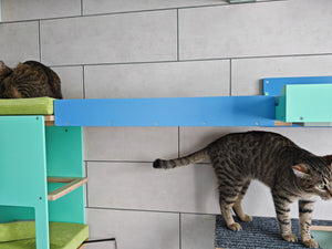 Two cats interacting with colorful cat shelves against a tiled wall.