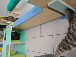 Cat Wall Bridge Ramp Shelf Step - Wally Path - Scratchy Things Premium Pet Furniture