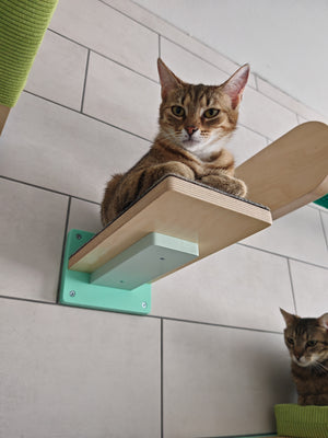 Car Wall Step Shelf - Wally 1-Step - Scratchy Things Premium Pet Furniture