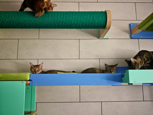 Cat Wall Bridge Ramp Shelf Step - Wally Path - Scratchy Things Premium Pet Furniture