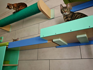Cat Wall Bridge Ramp Shelf Step - Wally Path - Scratchy Things Premium Pet Furniture