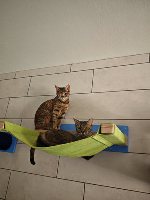 Cat Wall Shelf Bed Hammock - Wally ComboCot - Scratchy Things Premium Pet Furniture