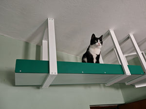 Cat Ceiling Shelf - Wally Skyway - ceiling mounted cat shelf, feline highway, walkway - Scratchy Things Premium Pet Furniture