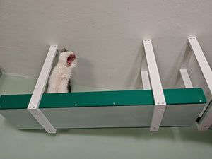Cat Ceiling Shelf - Wally Skyway - ceiling mounted cat shelf, feline highway, walkway - Scratchy Things Premium Pet Furniture