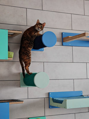 Cat Wall Scratching Pole Step Shelf - Wally Round Step - Scratchy Things Premium Pet Furniture