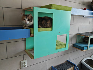 Cat Wall Shelf Bed - Wally Loft - Scratchy Things Premium Pet Furniture