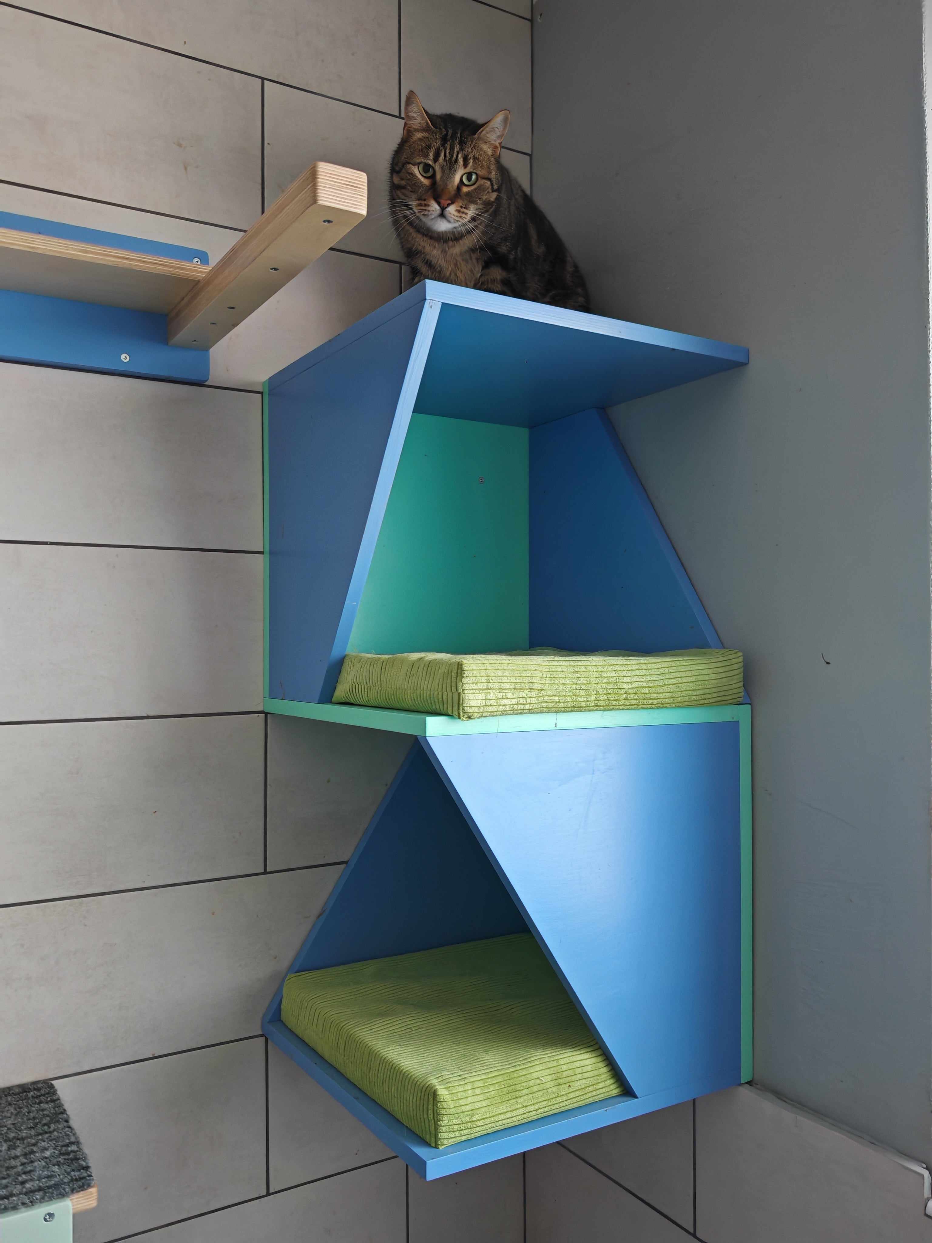 Cat Wall Shelf Bed Corner Box - Wally Sharp Tower - Scratchy Things Premium Pet Furniture