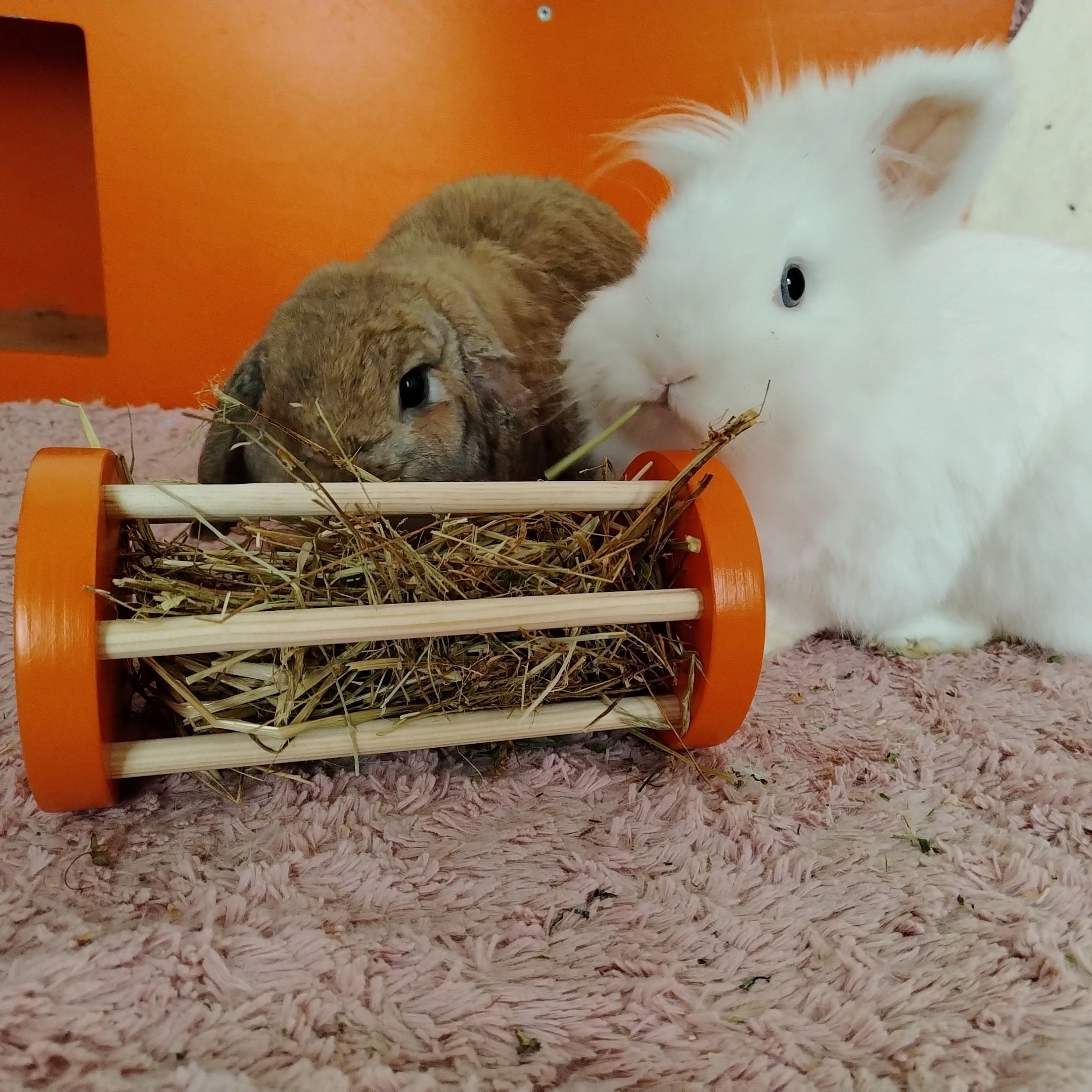 Rabbit Seesaw Toy - Nibbler Cylinder - Scratchy Things Premium Pet Furniture