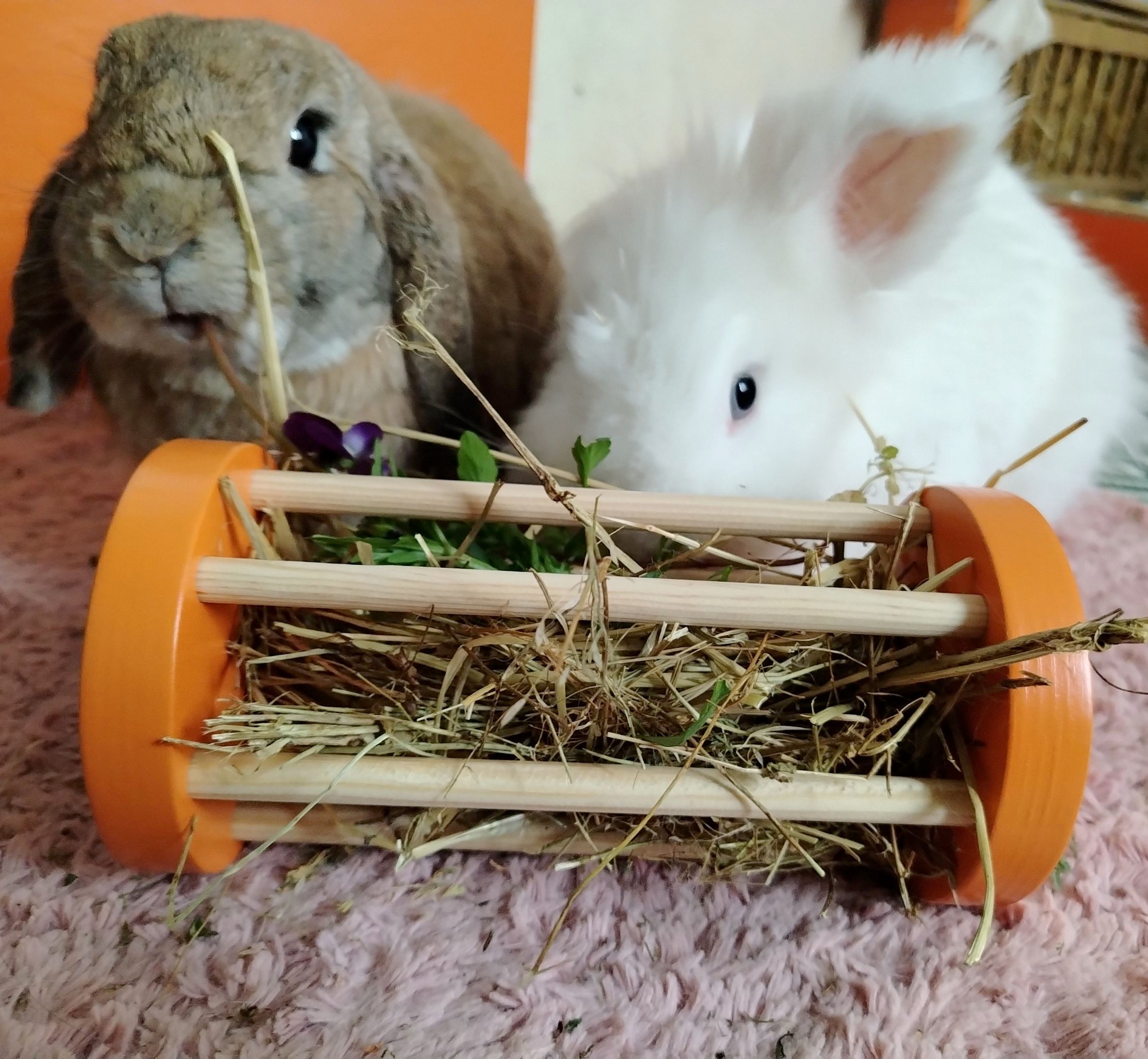 Rabbit Hay Roller, Bunny enrichment foraging toy, hay feeder - Nibbler ...