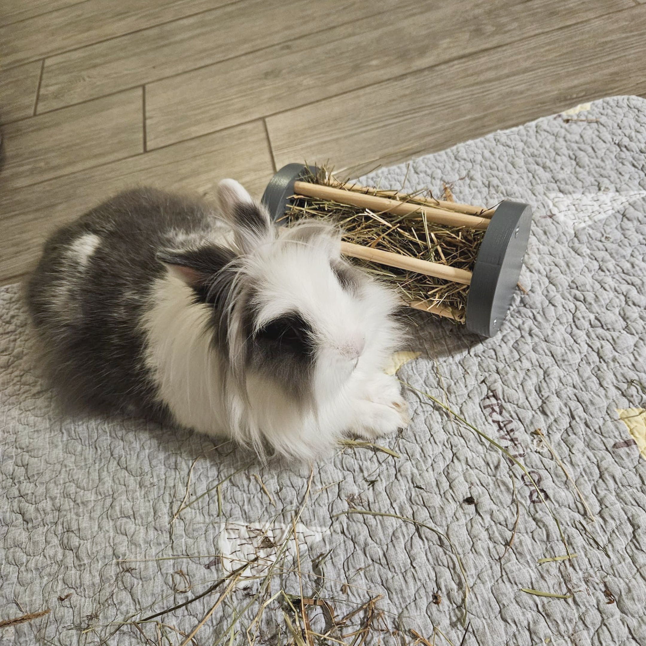 Rabbit Hay Roller, Bunny enrichment foraging toy, hay feeder - Nibbler ...