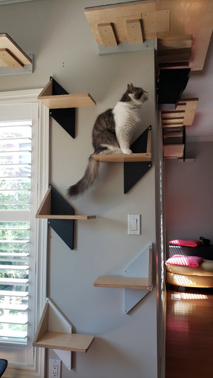 There are 5 modern cat step shelves mounted onto a narrow space on a wall. The cats steps are arranged in a zig zag pattern which makes a wonderful display. The steps have back plates in different colors. The bottom shelf has a white back, 2nd dust, 3rd light grey, 4th dark grey and the 5th one black. There is a longhaired white and tabby cat sitting on top of the 4th shelf. All the  wall mounted shelves have base wood in natural birch color