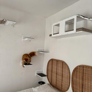 Big Cat Wall Shelf Bed Tunnel - Wally BigCat Tunnel Upside Down - Scratchy Things Premium Pet Furniture