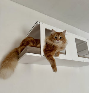Big Cat Wall Shelf Bed Tunnel - Wally BigCat Tunnel Upside Down - Scratchy Things Premium Pet Furniture