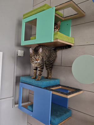 Two wall mounted cat corner tunnels mounted onto a light grey tiled wall. The tip tunnel has mint accent panels and 2 comfortable beds in bright green. The bottom has heaven blue accents with light but vibrant blue bed cushions. There are two tabby cats on them. 