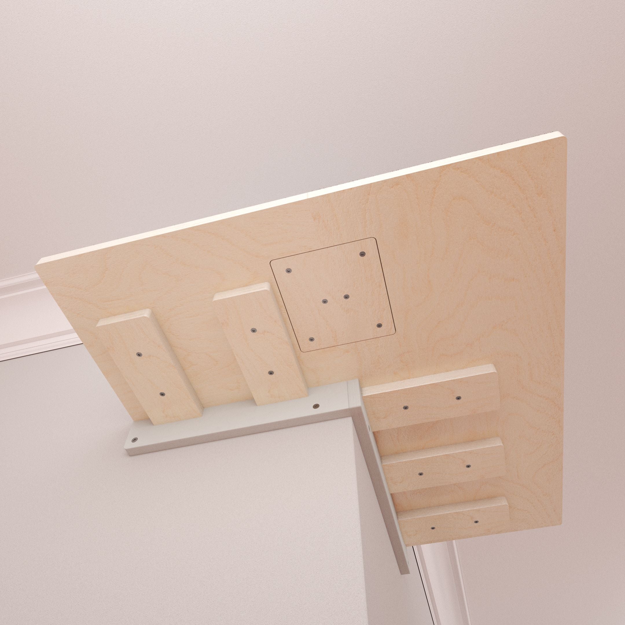 Big Cat Wall Shelf Corner Bed - Wally Wraparound Cat Shelf - Scratchy Things Premium Pet Furniture