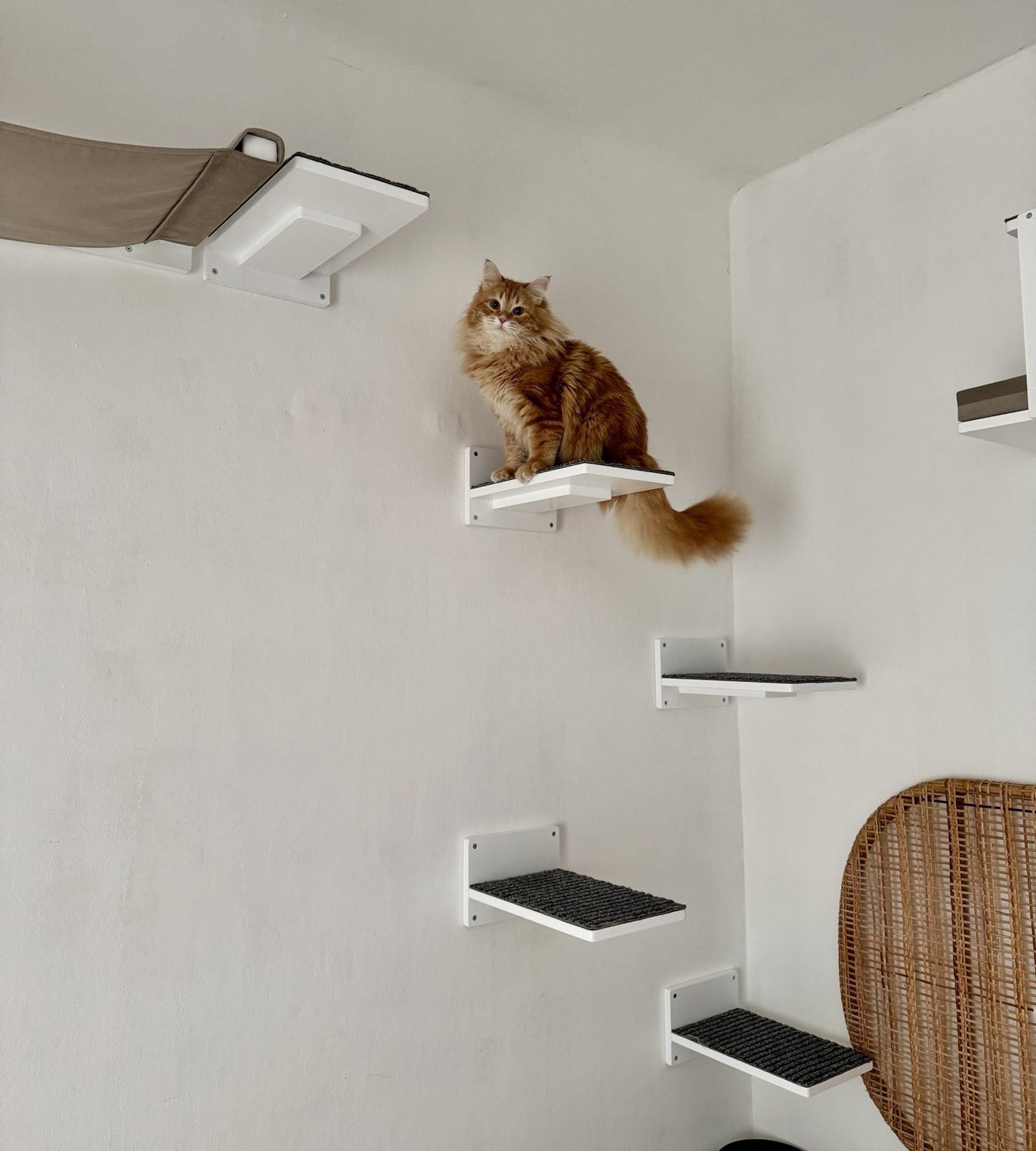 Big Cat Step Giant - Wally Giant 1-Step - Scratchy Things Premium Pet Furniture