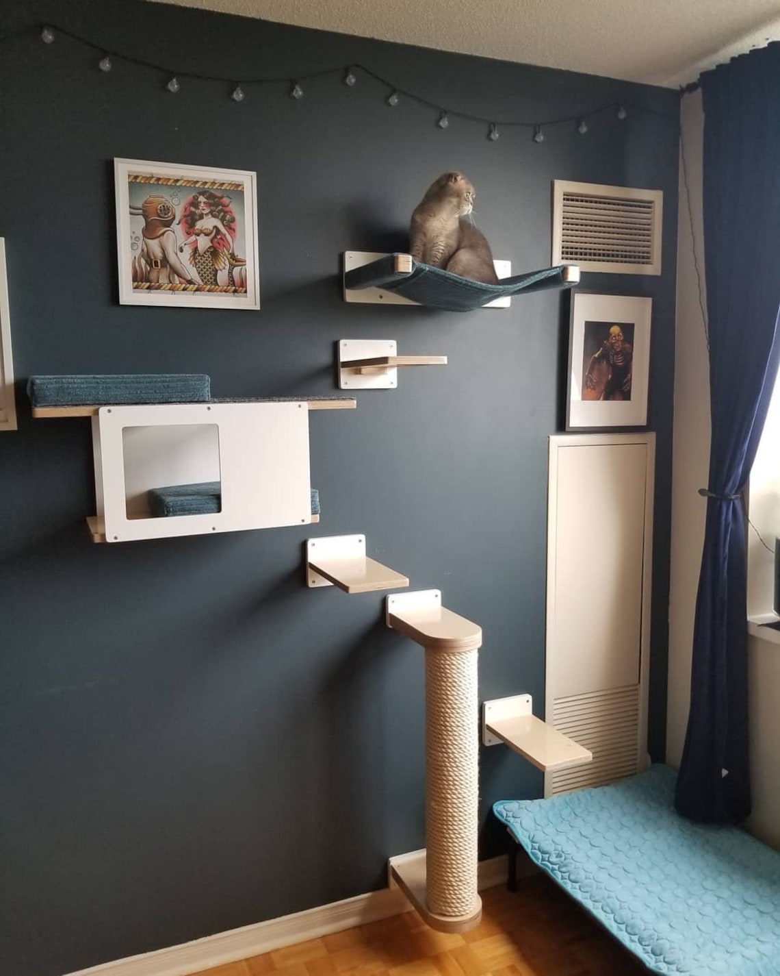 A room dedicated to cats. Different kinds of cat shelves are mounted onto a dark blue wall. The cat furniture is sleek, has base wood in birch and accents in white. There is a wall cot and a Scottish fold cat sitting on it and looking at the window. The hammock of the cot is made out of lush blue corduroy. Under it is a wall step that leads to a cat house with 2 cushions and the climb down is by steps and a small scratching pole. The cat setup is enhanced by artwork around and looks cozy. 