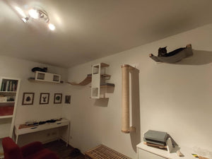 A large corner space of room is used as a home office. There are different multileveled cat shelves mounted on the walls and a scratching pole set in between, as a way of getting up. There is a cat in the left corner, lying on top of a cat wall tunnel and another on a cot on the right side of the picture. Everything is either white or neutral, with cushions and a hammock in light grey. 