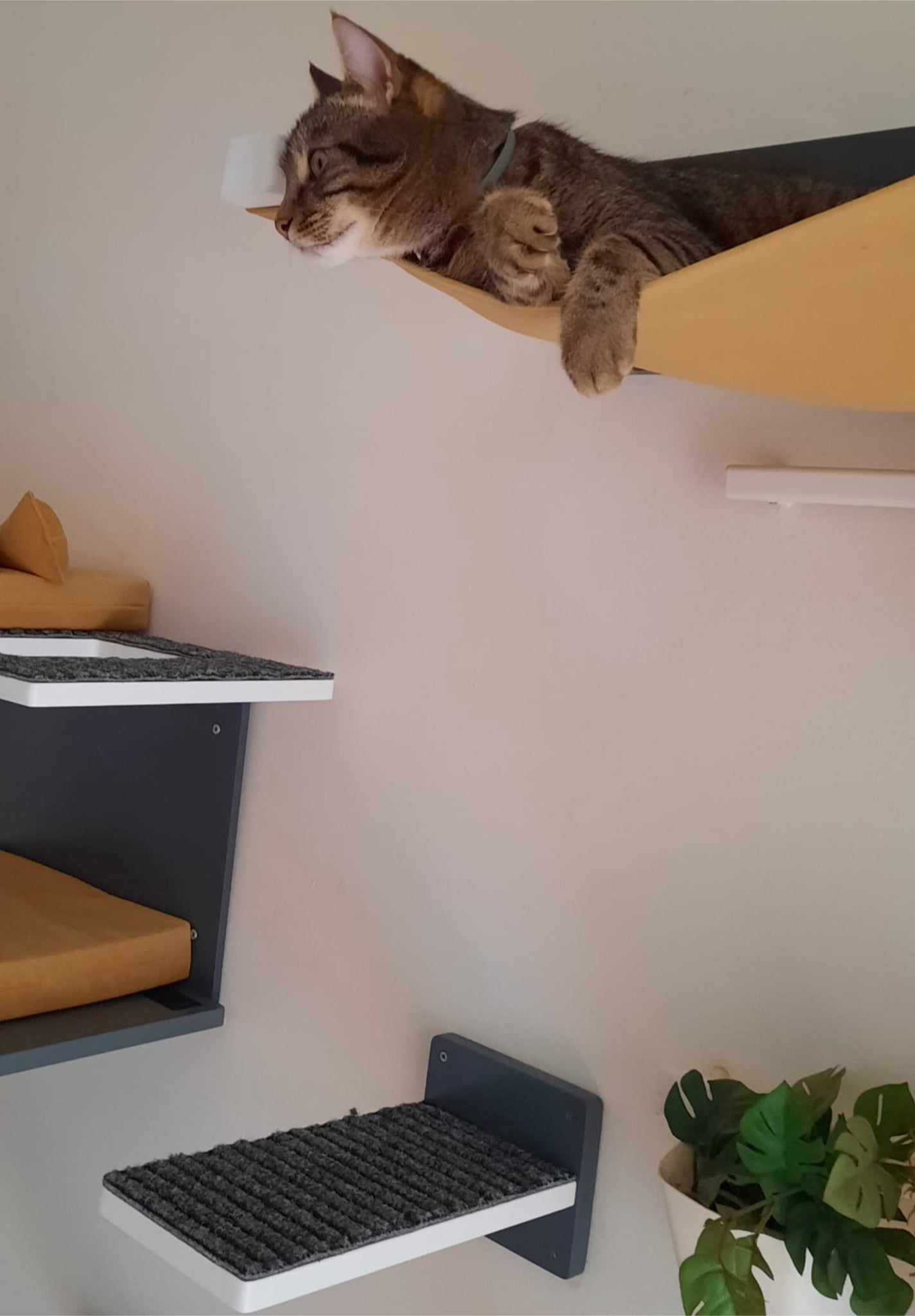 Cat Wall Shelf Bridge Bed Post Bundle - Cozy Apartment Bundle - Scratchy Things Premium Pet Furniture