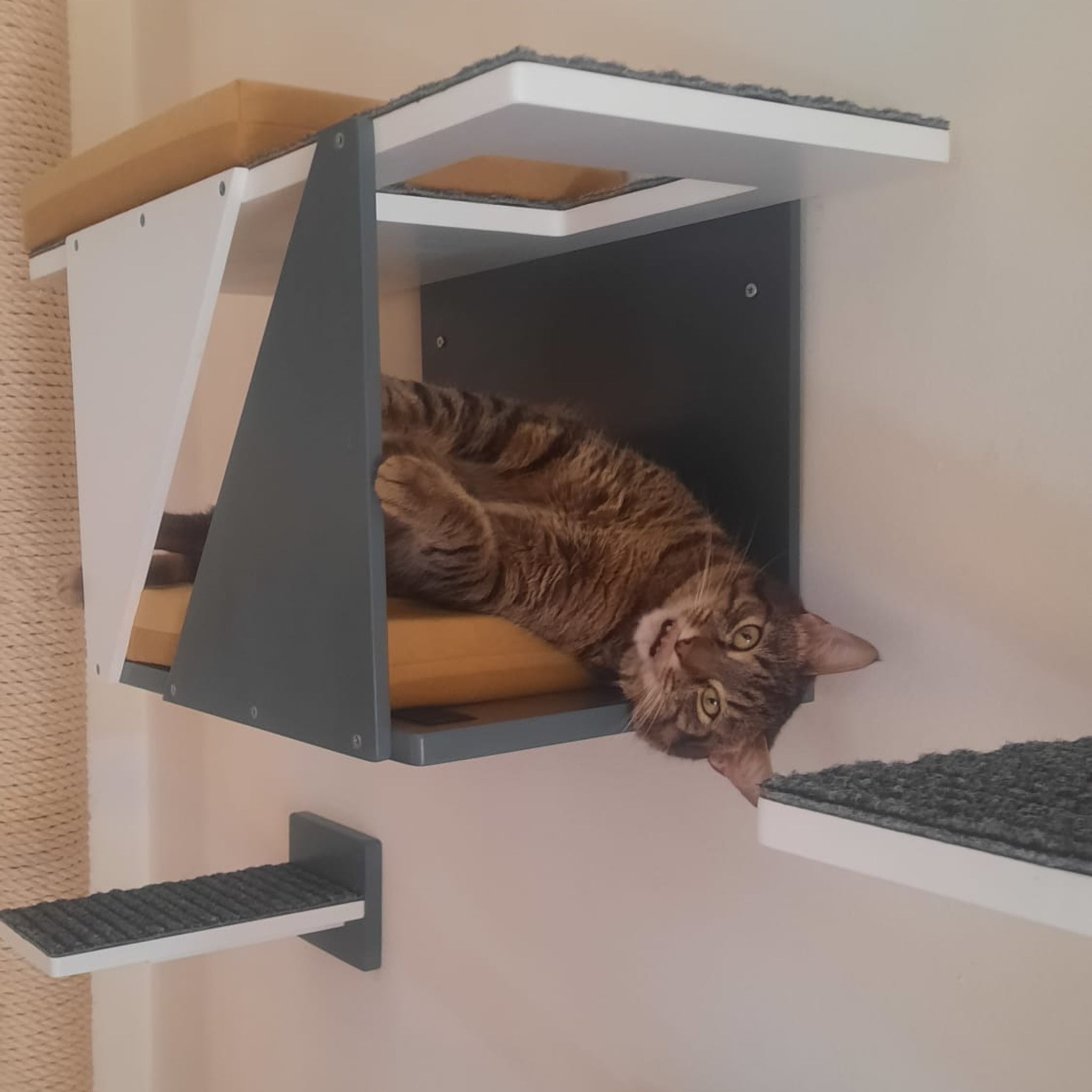 Cat Wall Shelf Bridge Bed Post Bundle - Cozy Apartment Bundle - Scratchy Things Premium Pet Furniture