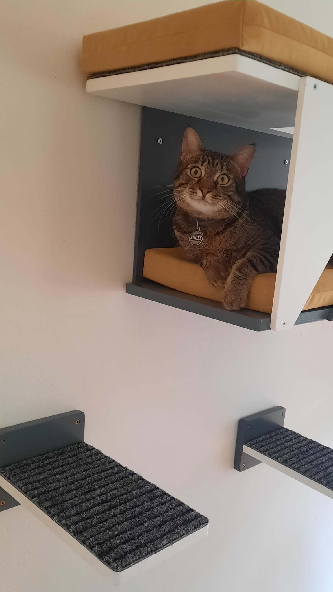 Cat Wall Shelf Bridge Bed Post Bundle - Cozy Apartment Bundle - Scratchy Things Premium Pet Furniture