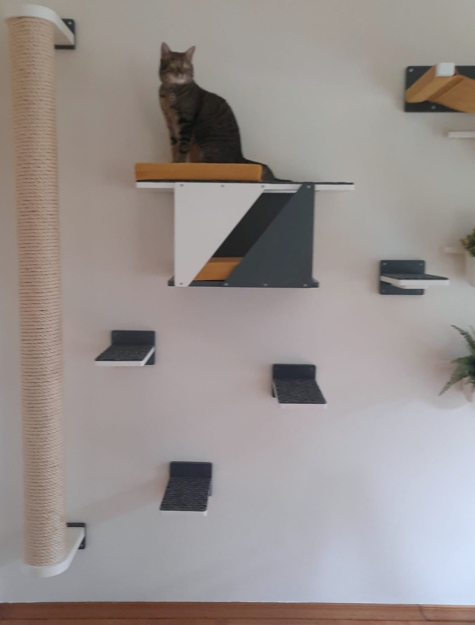 Cat Wall Shelf Bridge Bed Post Bundle - Cozy Apartment Bundle - Scratchy Things Premium Pet Furniture