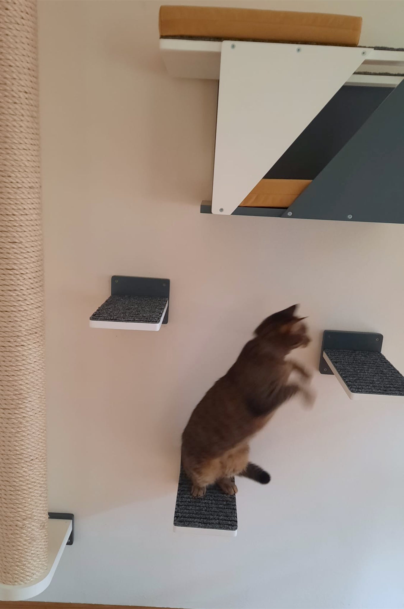 Cat Wall Shelf Bridge Bed Post Bundle - Cozy Apartment Bundle - Scratchy Things Premium Pet Furniture