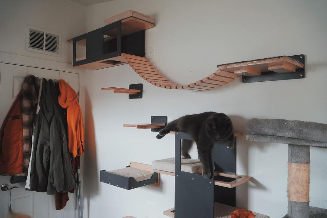 Cat Wall Shelf Bed - Wally Tunnel - Scratchy Things Premium Pet Furniture