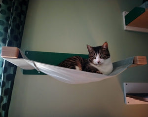 Big Cat Wall Shelf Bed Hammock - Wally BigCat Cot - Scratchy Things Premium Pet Furniture