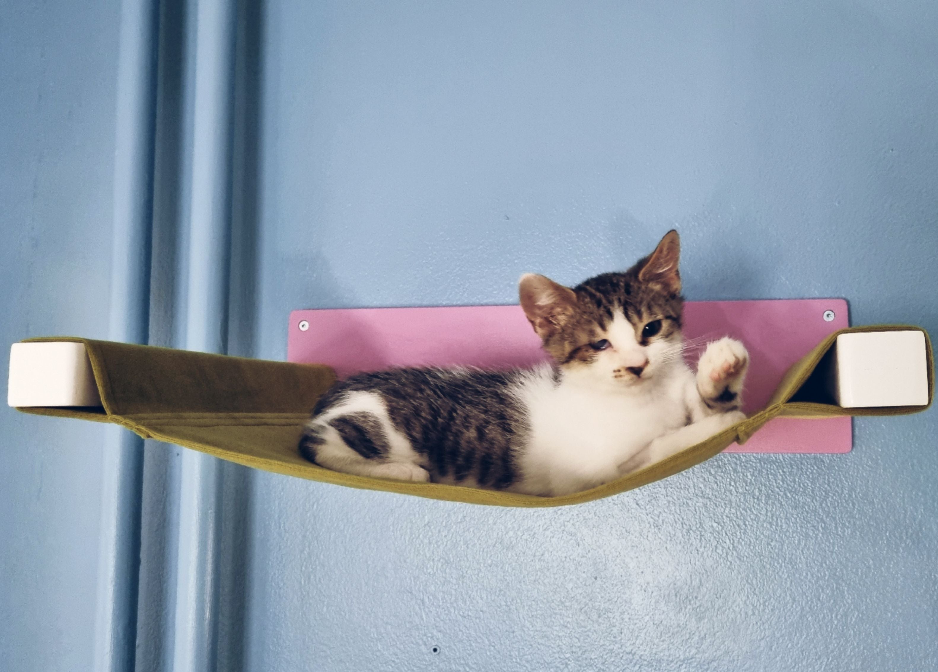 Cat Wall Shelf Bed Hammock - Wally Cot - Scratchy Things Premium Pet Furniture