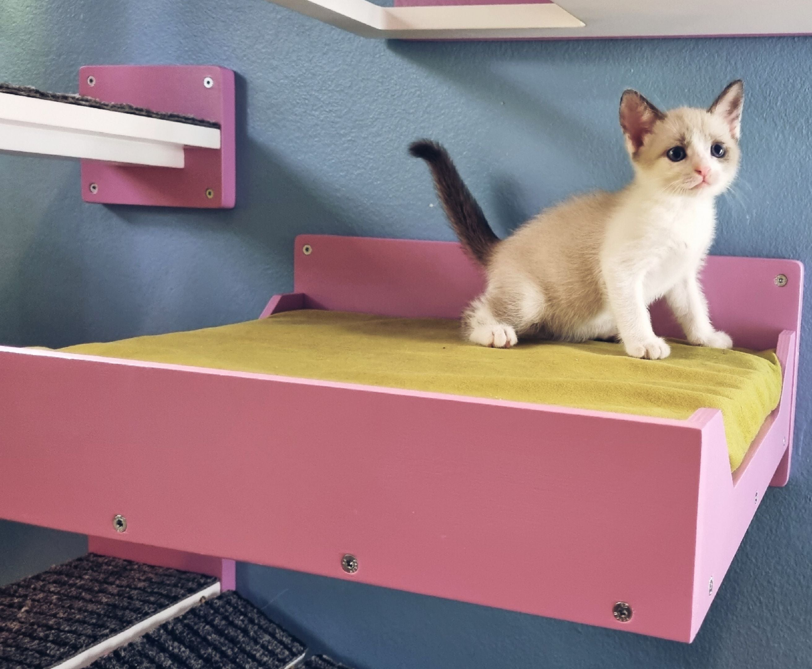 Big Cat Wall Shelf Bed - Wally BigCat Flat Plus - Scratchy Things Premium Pet Furniture