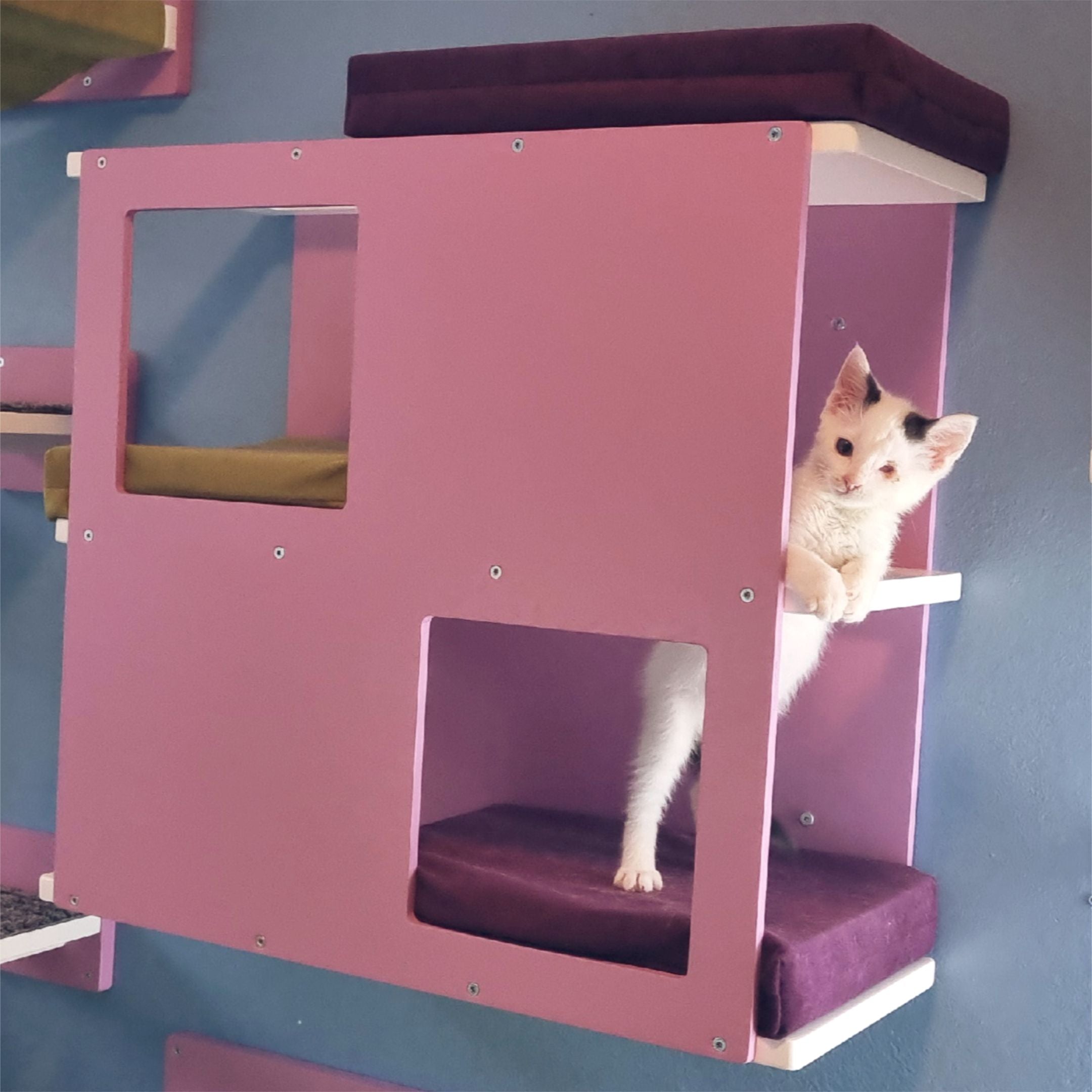 Cat Wall Shelf Bed - Wally Loft - Scratchy Things Premium Pet Furniture