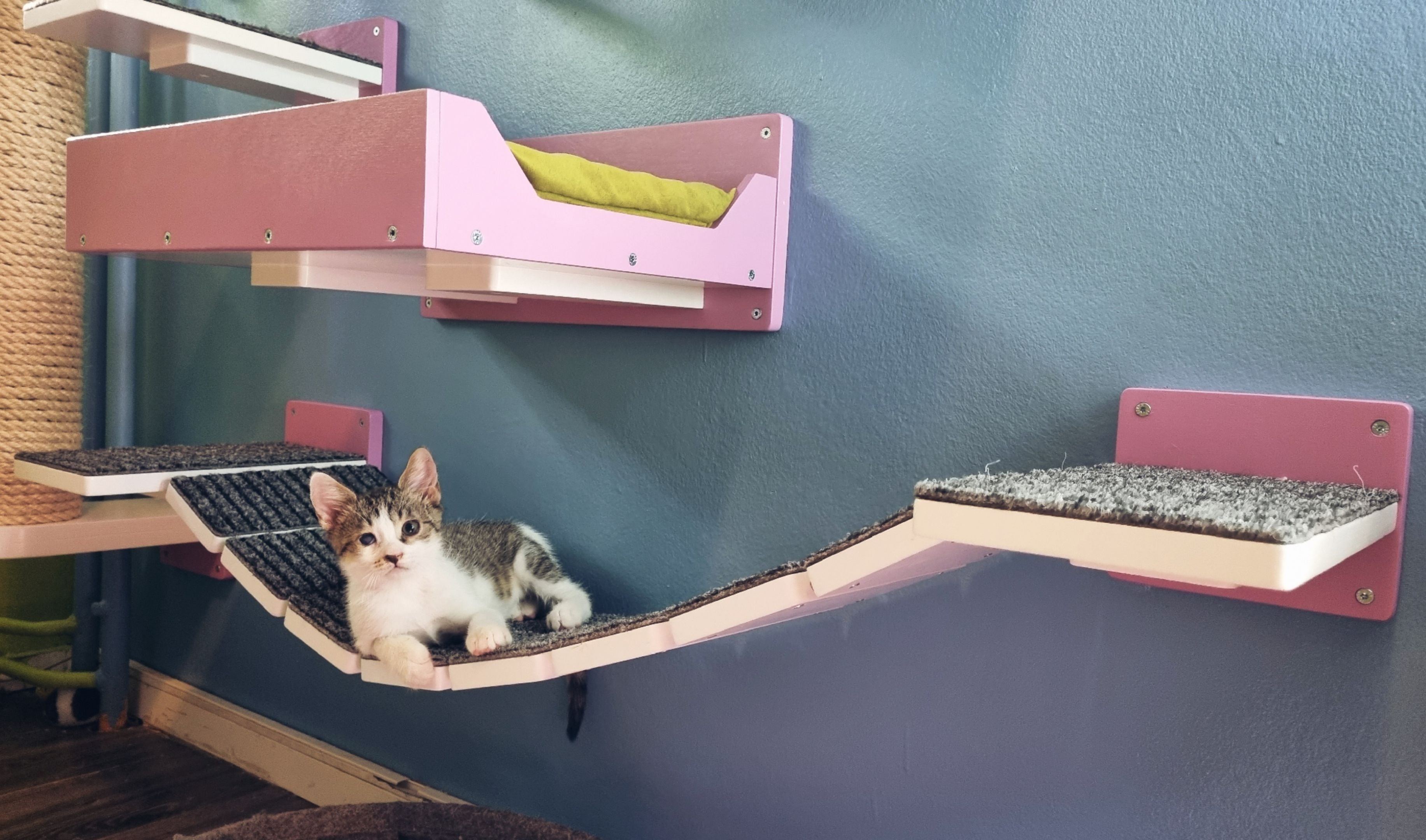 Cat Bridge Shelf Step Wide - Wally WideBridge (1Step - 1Step mount) - Scratchy Things Premium Pet Furniture