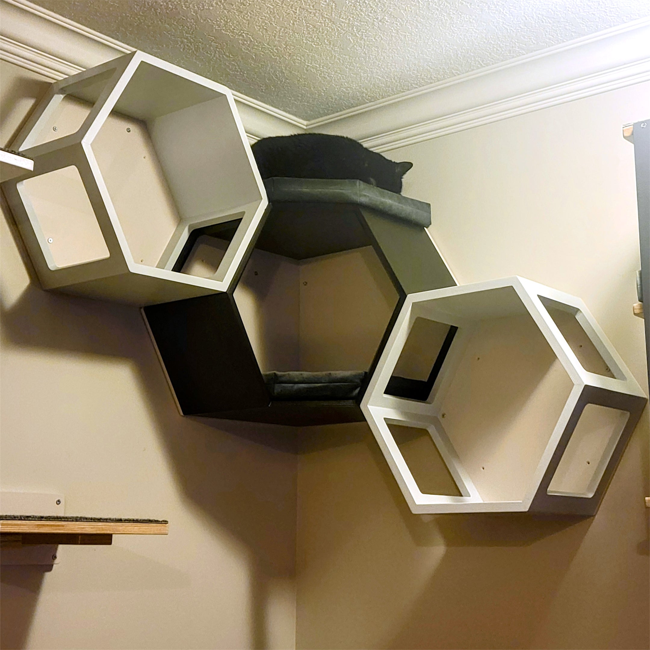 Cat Wall Shelf Hexagonal Corner Bed - Wally Hex Corner 25 - Scratchy Things Premium Pet Furniture
