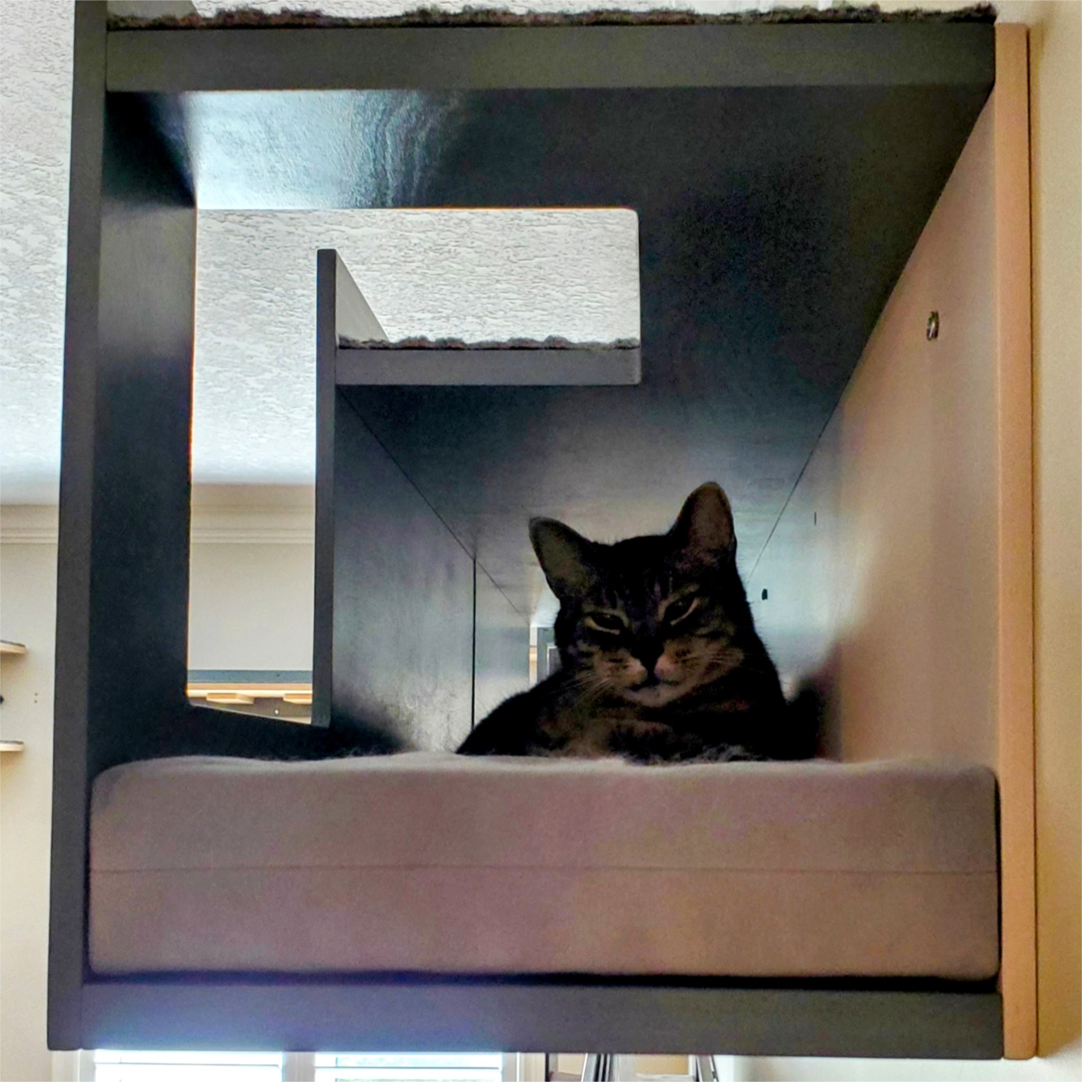 Cat Wall Shelf Bed Tunnel - Wally Mezzanine - Scratchy Things Premium Pet Furniture