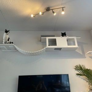 Cat Wall Shelf Bed - Wally Tunnel - Scratchy Things Premium Pet Furniture